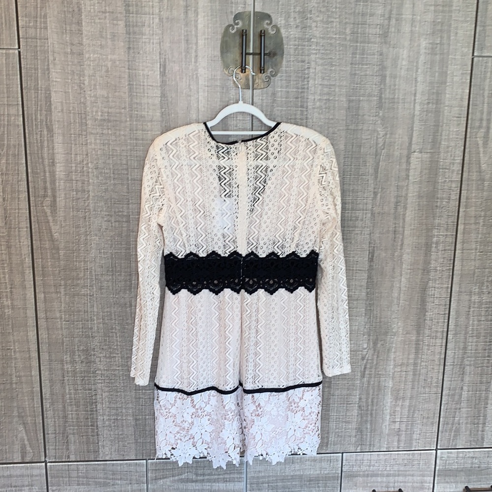 Bardot Bella Lace Dress in Limestone - Picture 8 of 12